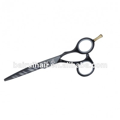 Professional Hair Scissors