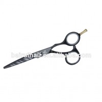 Professional Hair Scissors